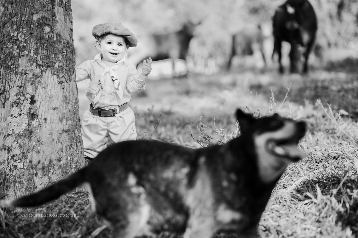 Ensaio book infantil fazendinha campeira Titine por Kevin Medeiros fotógrafo de Canoas, Santa Rita RS