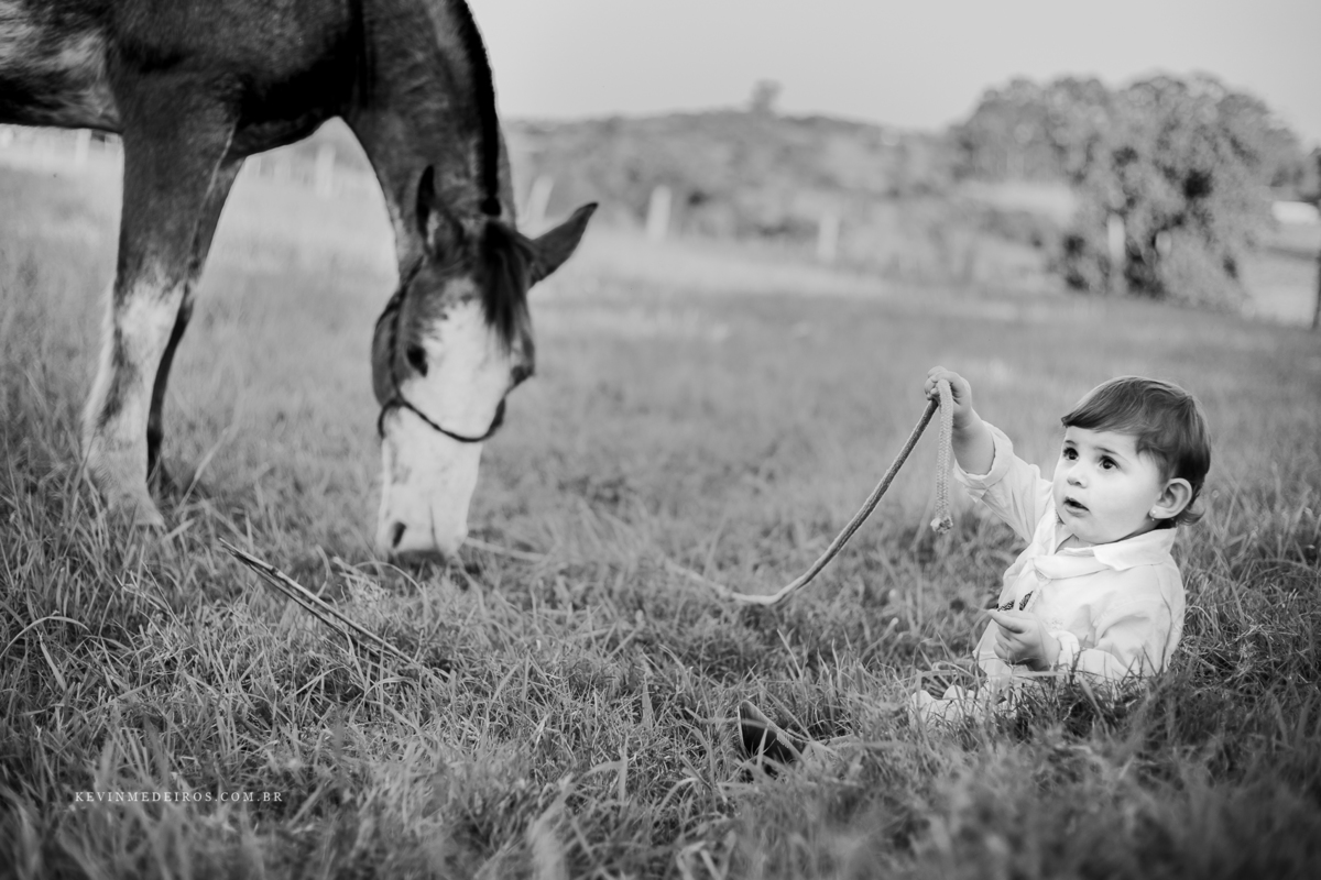 Ensaio book infantil fazendinha campeira Titine por Kevin Medeiros fotógrafo de Canoas, Santa Rita RS
