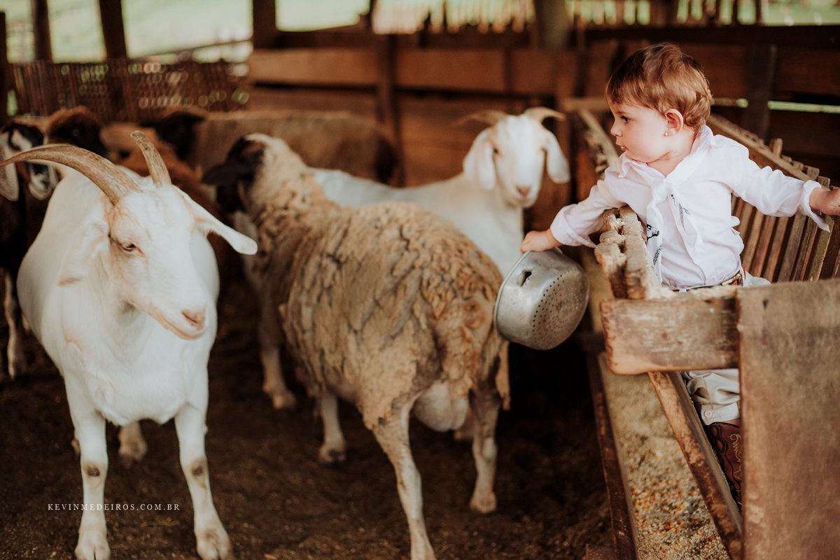 Ensaio book infantil fazendinha campeira Titine por Kevin Medeiros fotógrafo de Canoas, Santa Rita RS