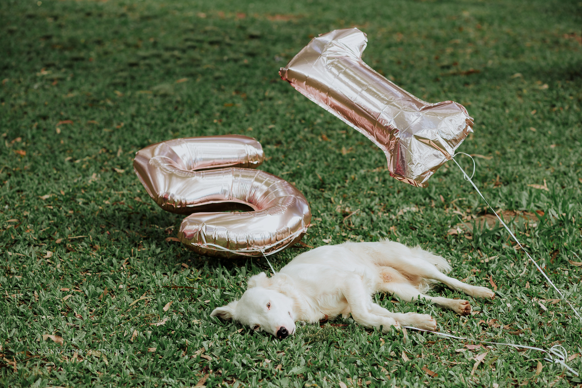 Ensaio debutante 15 anos da Aline Dias realizado na vinícola Laurentia em barra do ribeiro por Kevin Medeiros fotógrafo de porto alegre, canoas e RS