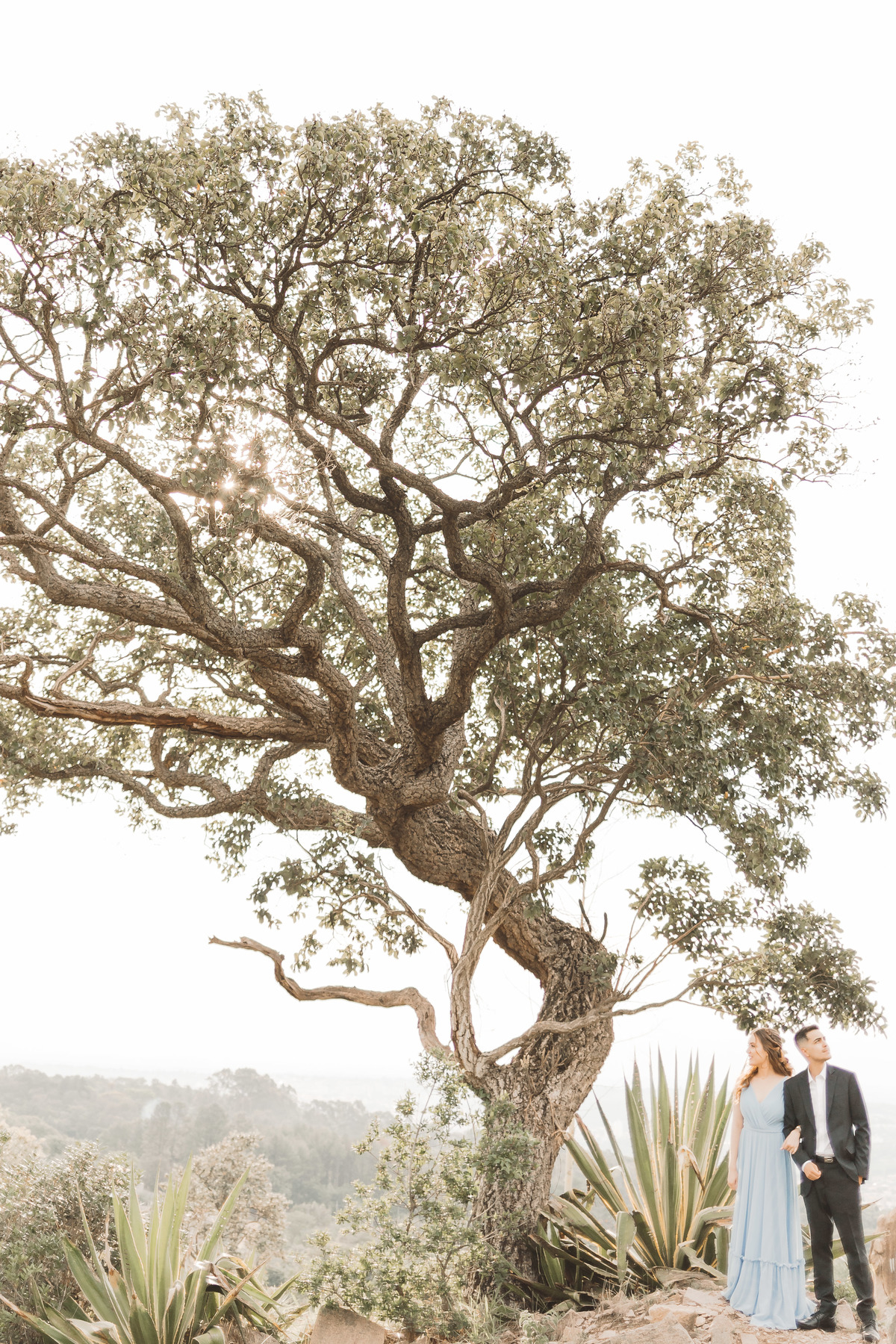 Fotografia de casamento em Valinhos São Paulo