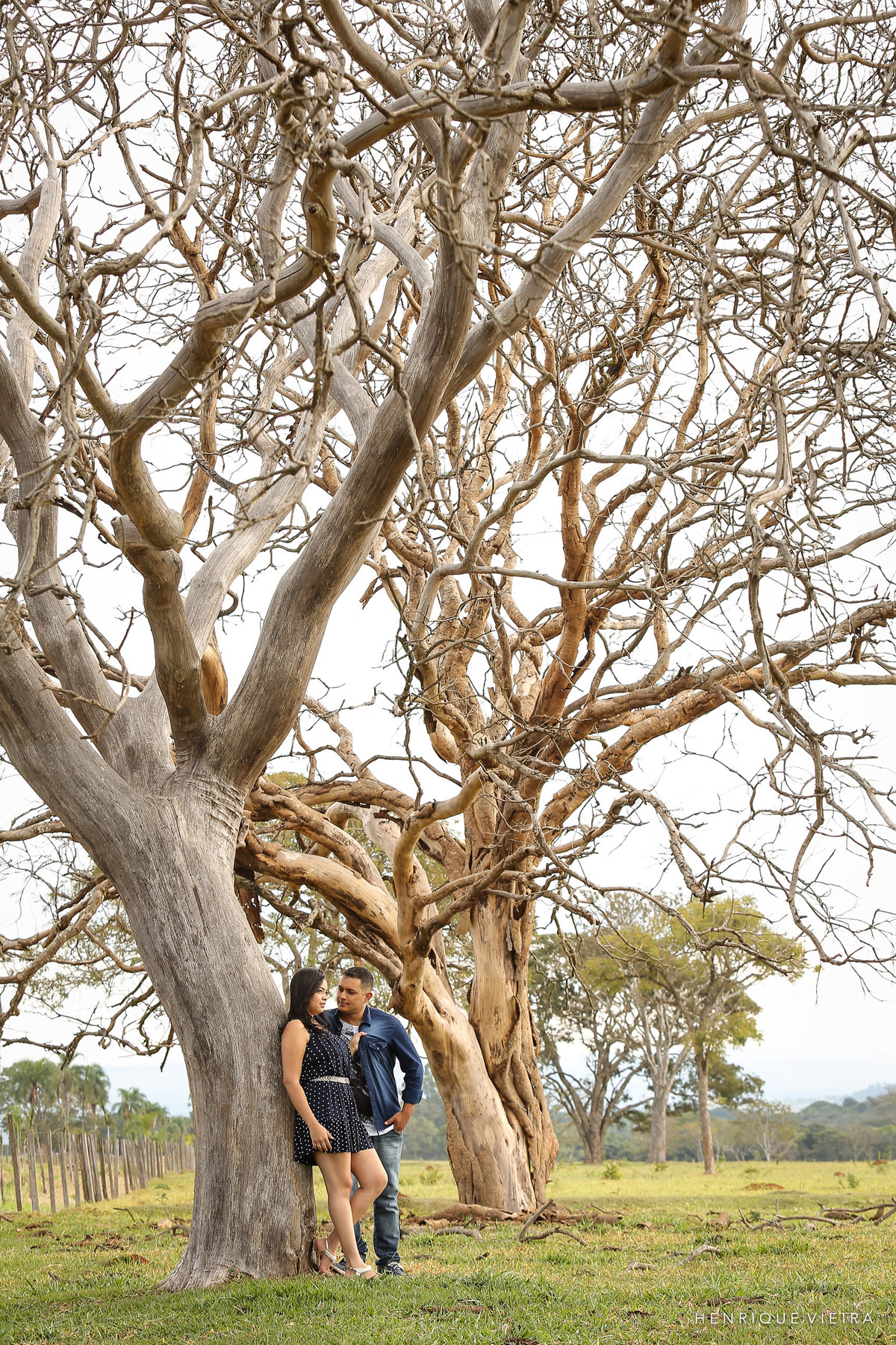 O cerrado mineiro é lindo