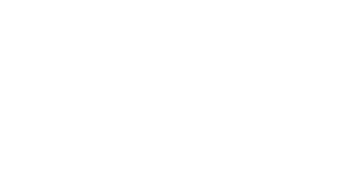 Logotipo de Max Paradella