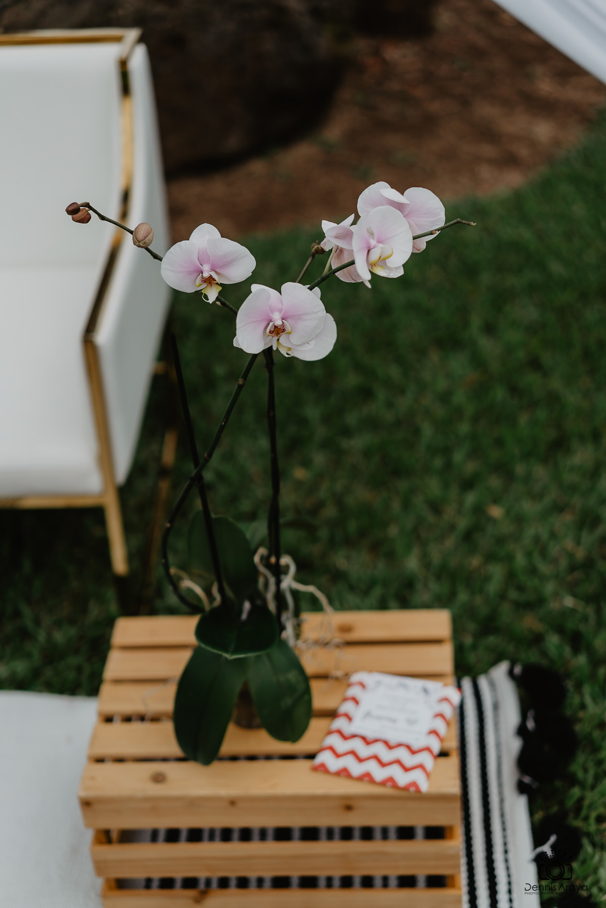 E session / Session Pareja 
Villa del Lago / La Garata de Alajuela 
Fotos de bodas