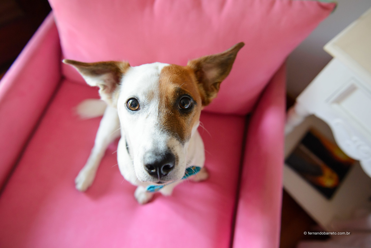 Joa,casamento no Rio de Janeiro, fotografia de casamento Rio de Janeiro, fotografo de casamento RJ, fernando barreto fotografia, fotografia documental