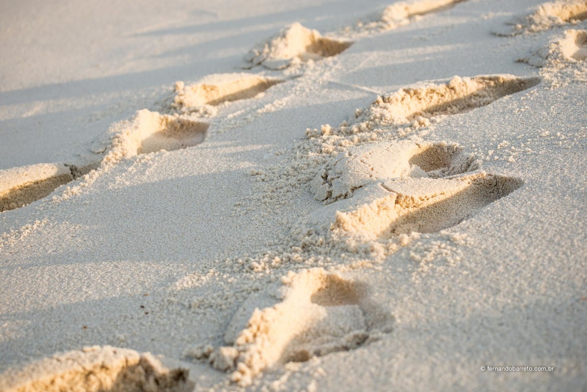 Ensaio Casal,Ensaio,Pre-Wedding,casamento no Rio de Janeiro, fotografia de casamento Rio de Janeiro, fotografo de casamento RJ, fernando barreto fotografia, fotografia documental