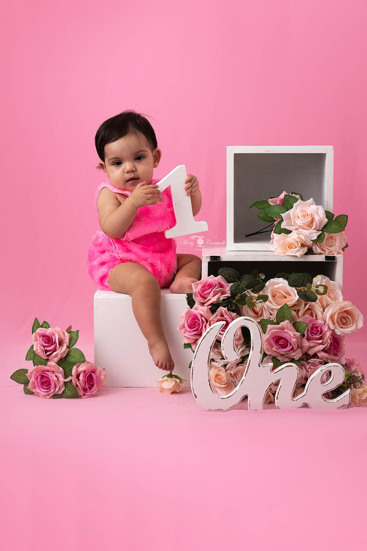 smash the cake rj ensaio fotográfico bebes 1 ano , estúdio campo grande