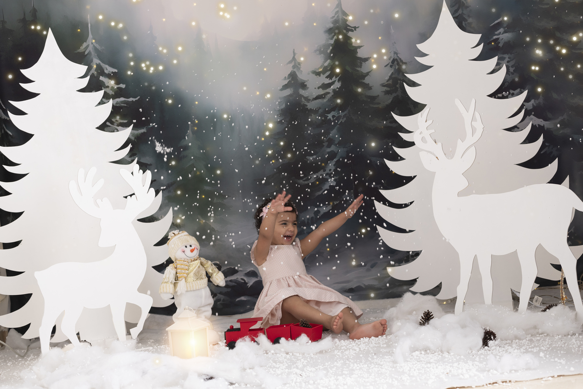 ensaio de natal em família no estúdio em campo grande rio de janeiro