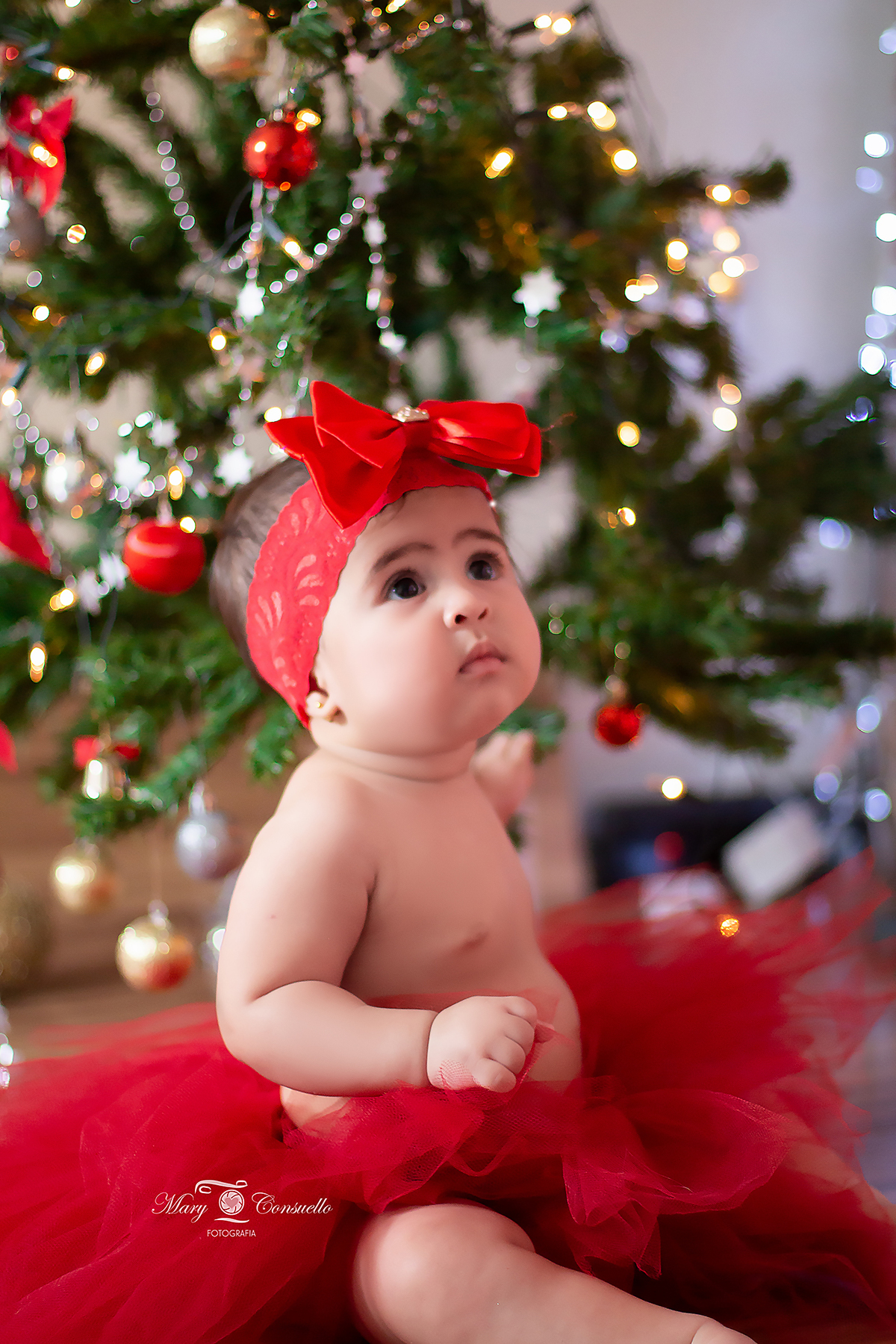 ensaio fotográfico natal rj