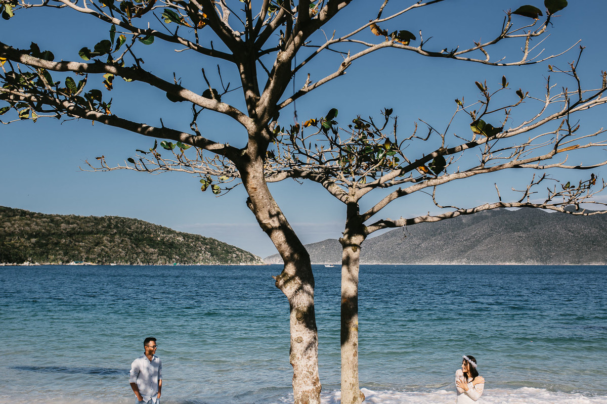 fotos de baixo da arvore praia do forno