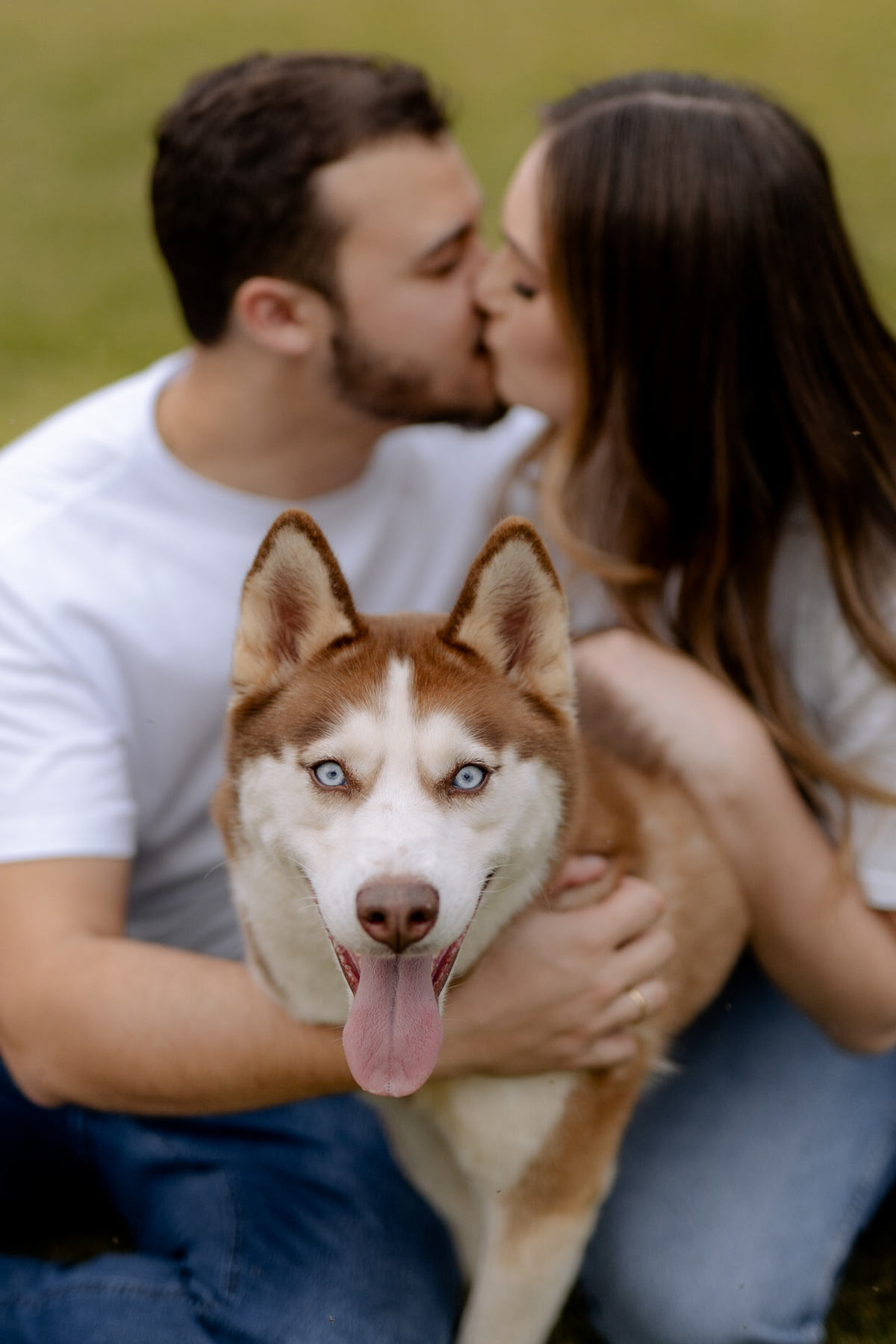 Inspiração de foto com cachorro 