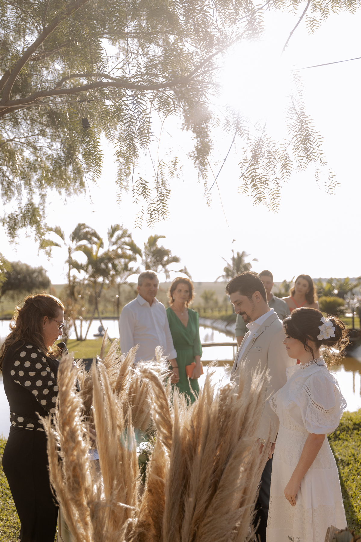 Casamento intimista embaixo da arvore 