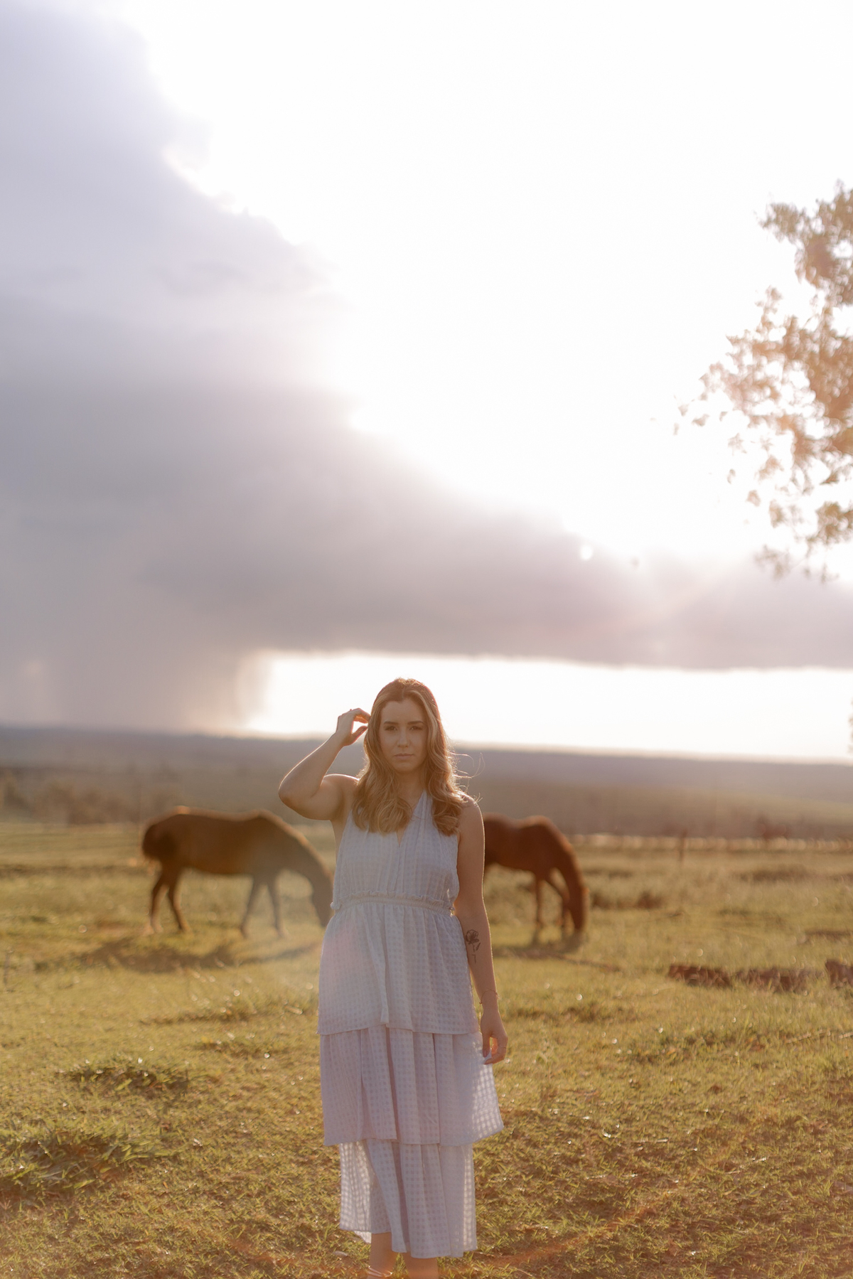 Inspiração de foto no campo com cavalo