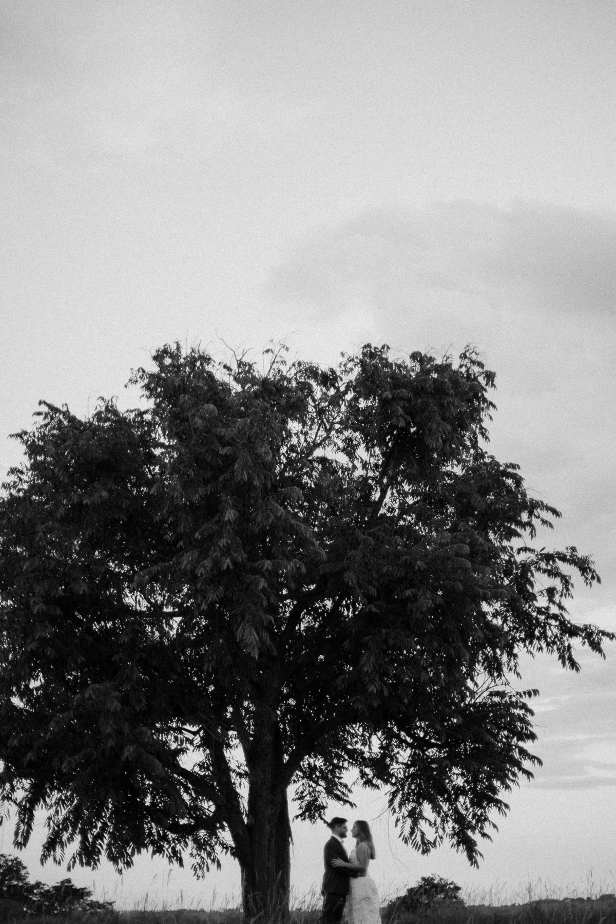 casal embaixo da árvore em ensaio pré wedding 