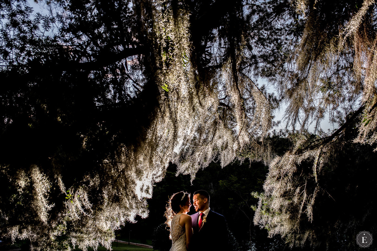 noivos felizes em casamento embaixo da arvore no belvedere