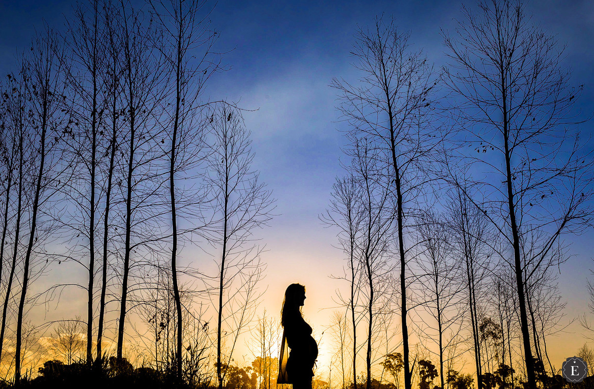 fotos criativas de gestante no por do sol