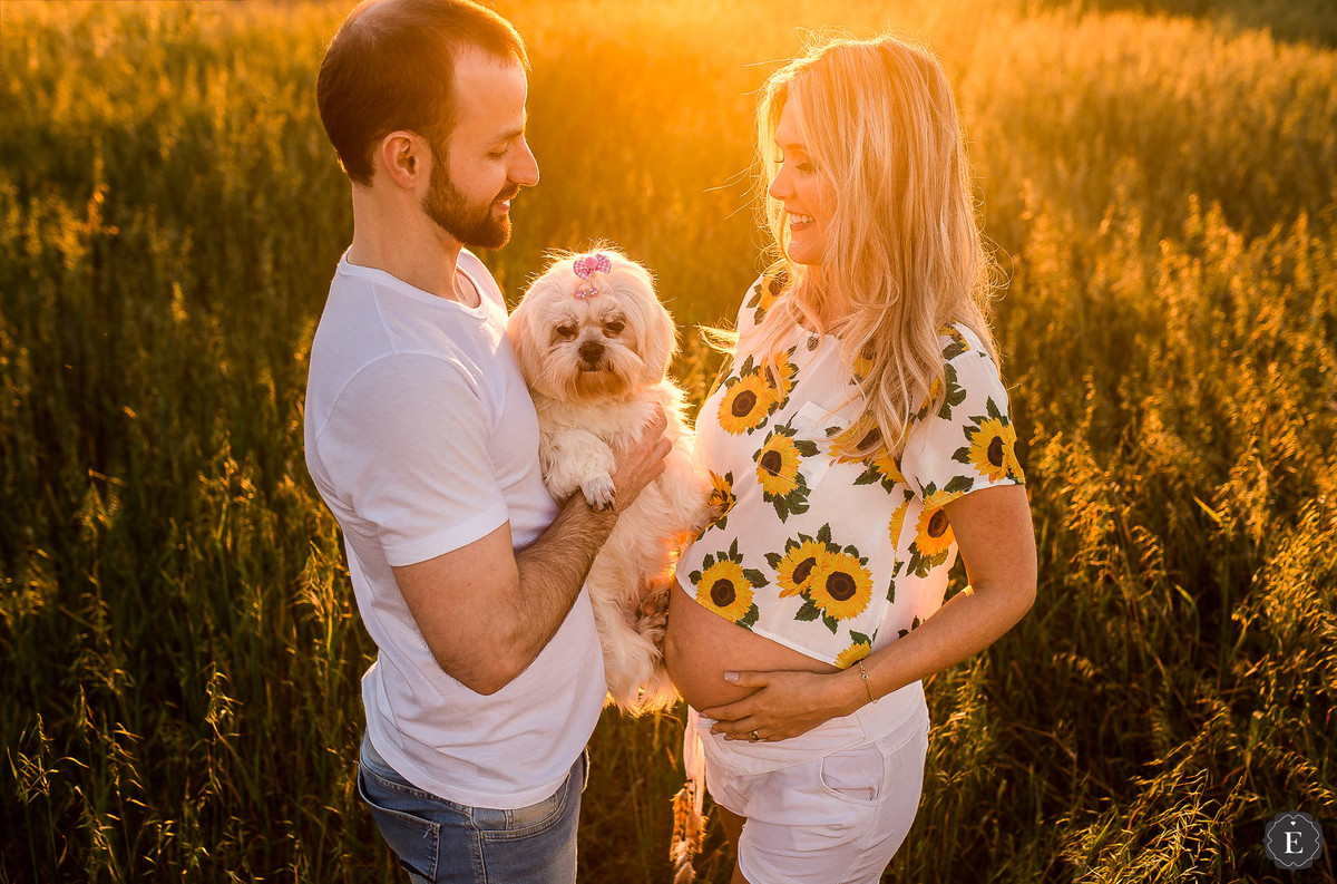 lindo casal em ensaio de familia e gestante com cachorros no parana