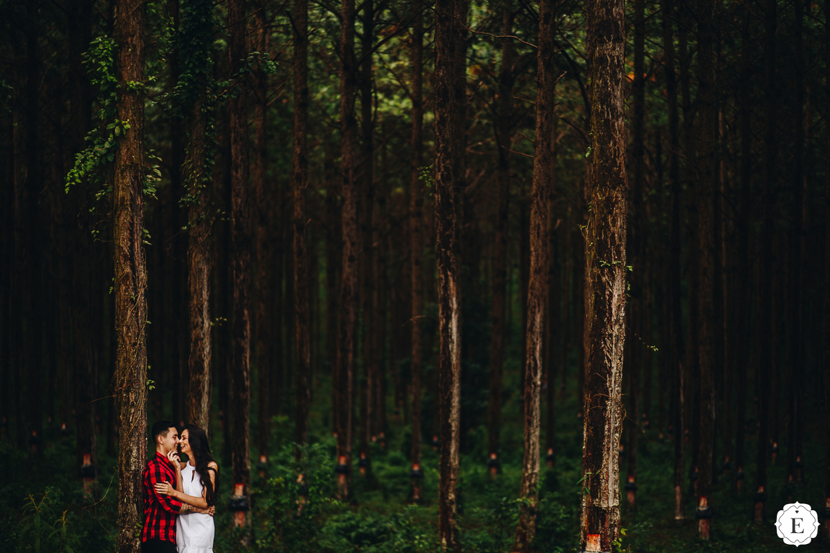 casal abraçados em fotos criativas  em floresta no parana