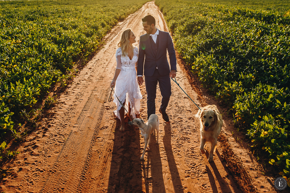noivos em fotos de casamento criativas com cachorros em cianorte parana