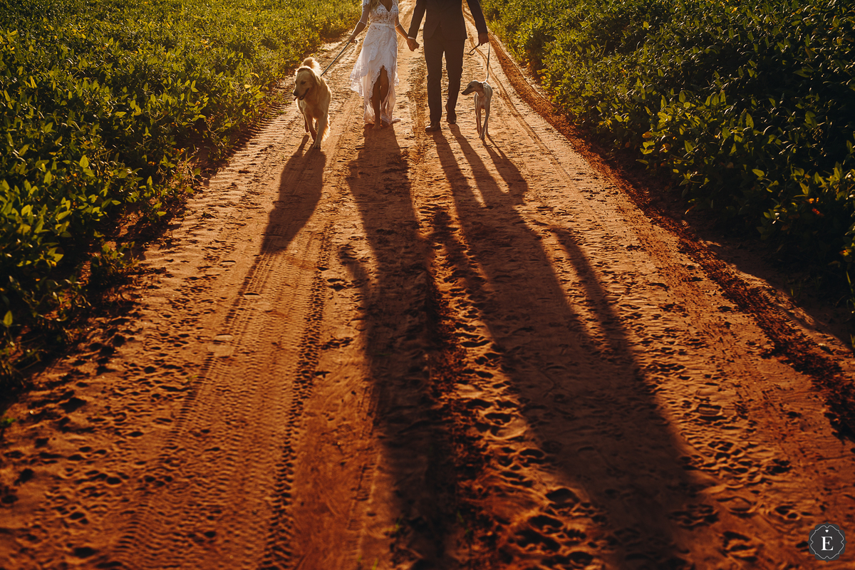 casal em ensaio de fotos pós wedding diferente com seus cachorros no parana