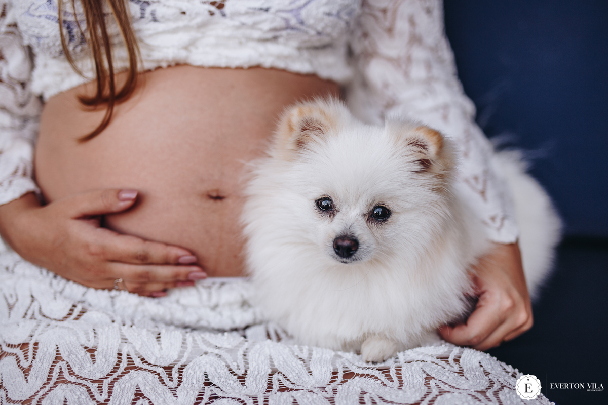 fotos criativas com cachorrinho em ensaio de gestante