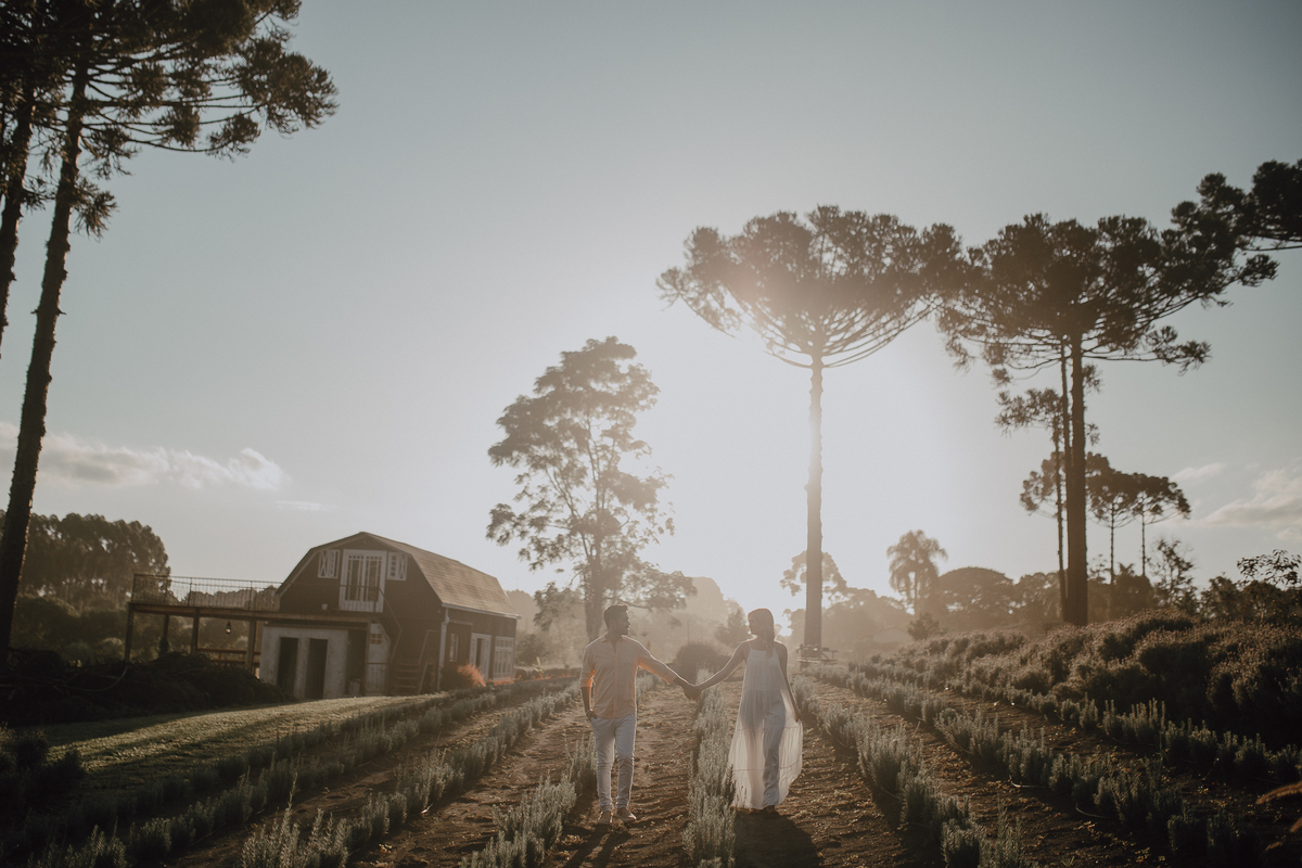 Casal caminhando no campo de lavandas em Ensaio Pré Wedding 