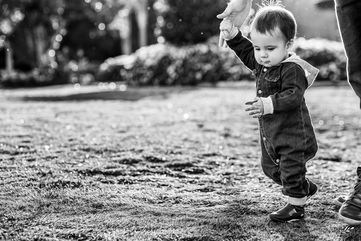 ensaio um aninho; ensaio primeiro aninho; ensaio estúdio; ensaio infantil; smash the fruit; ensaio externo.