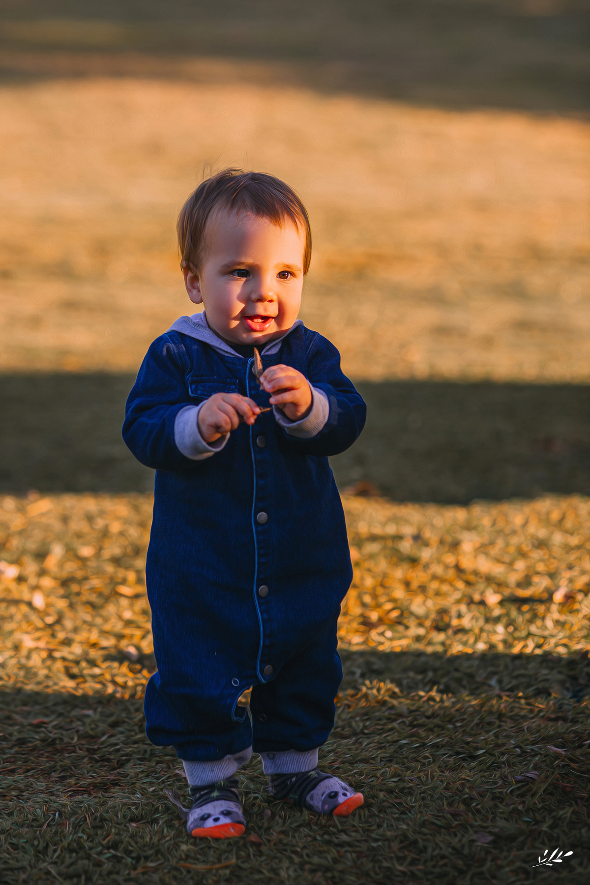 ensaio um aninho; ensaio primeiro aninho; ensaio estúdio; ensaio infantil; smash the fruit; ensaio externo.