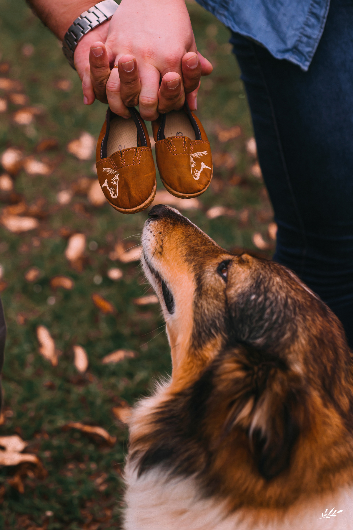 ensaio gestante; ensaio gravidez; à espera de annita; ensaio gestante externo; ensaio gestante com pets; ensaio gestante com cavalo.