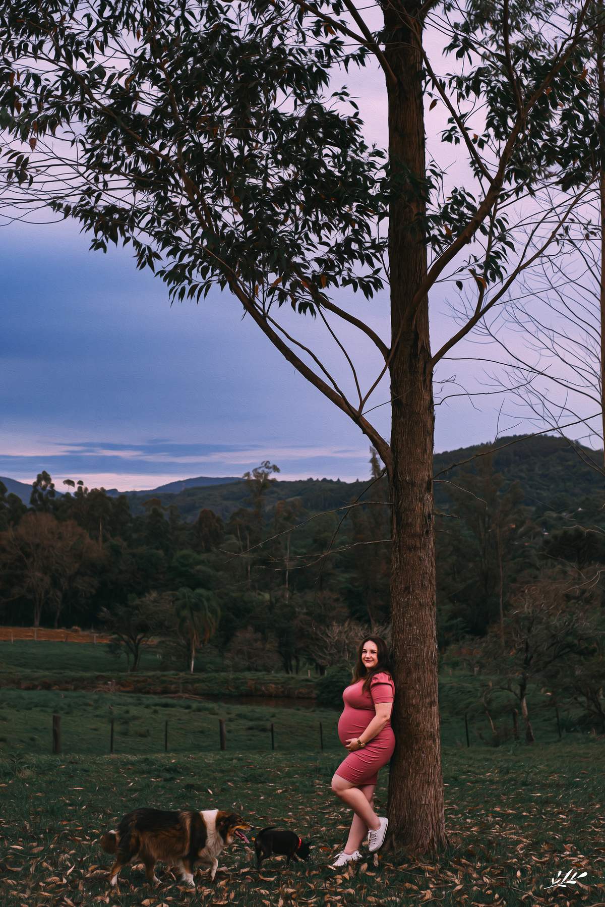 ensaio gestante; ensaio gravidez; à espera de annita; ensaio gestante externo; ensaio gestante com pets; ensaio gestante com cavalo.