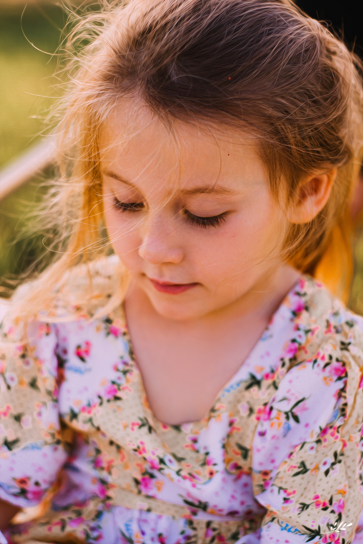 ensaio natal; ensaio natalino; ensaio família; ensaio externo.
