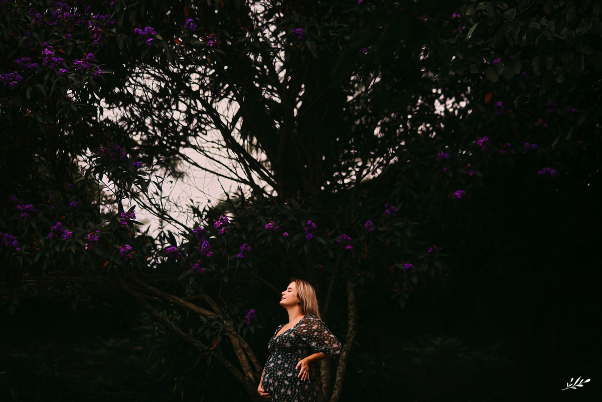 ensaio gestante; ensaio grávida; ensaio gravidez; ensaio família; ensaio externo; ensaio em Dois Irmãos RS.