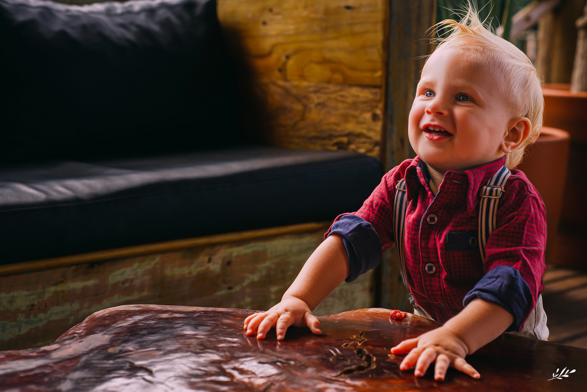 aniversário menino; aniversário fazendinha; aniversário um ano; primeiro aninho; cabanas bela vista; rolante rs; decoração fazendinha; malu mattos.