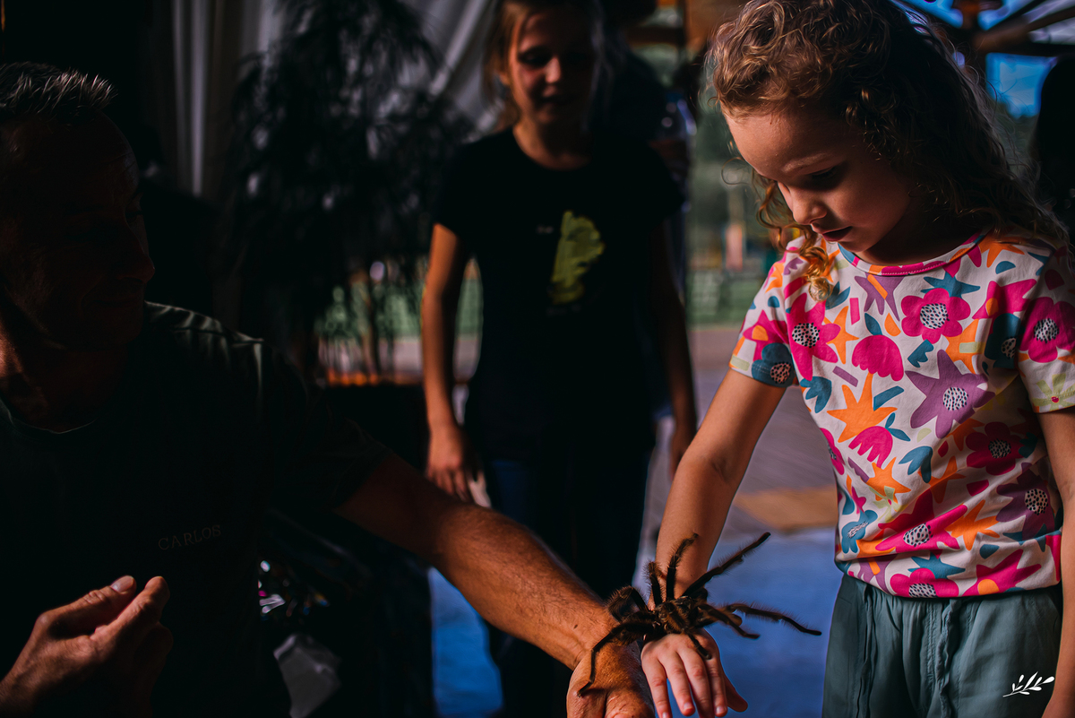 aniversário menino; aniversário fazendinha; aniversário um ano; primeiro aninho; cabanas bela vista; rolante rs; decoração fazendinha; malu mattos.