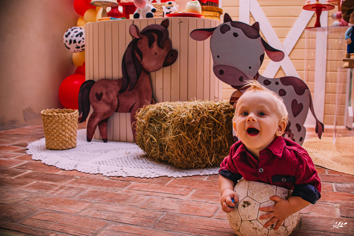 aniversário menino; aniversário fazendinha; aniversário um ano; primeiro aninho; cabanas bela vista; rolante rs; decoração fazendinha; malu mattos.