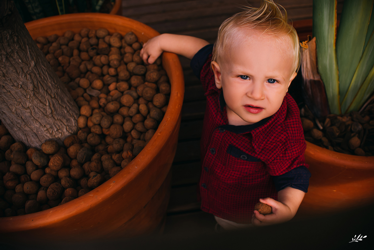 aniversário menino; aniversário fazendinha; aniversário um ano; primeiro aninho; cabanas bela vista; rolante rs; decoração fazendinha; malu mattos.