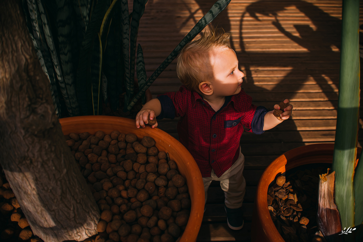aniversário menino; aniversário fazendinha; aniversário um ano; primeiro aninho; cabanas bela vista; rolante rs; decoração fazendinha; malu mattos.