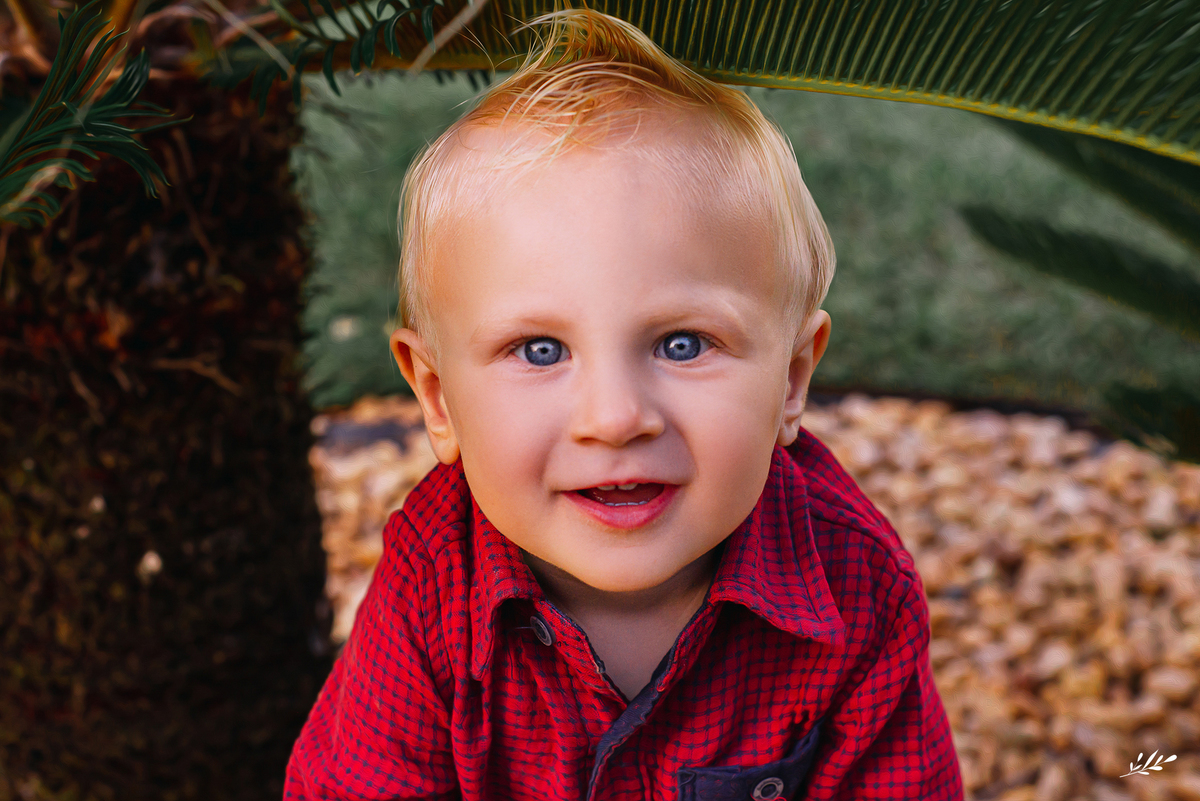 aniversário menino; aniversário fazendinha; aniversário um ano; primeiro aninho; cabanas bela vista; rolante rs; decoração fazendinha; malu mattos.