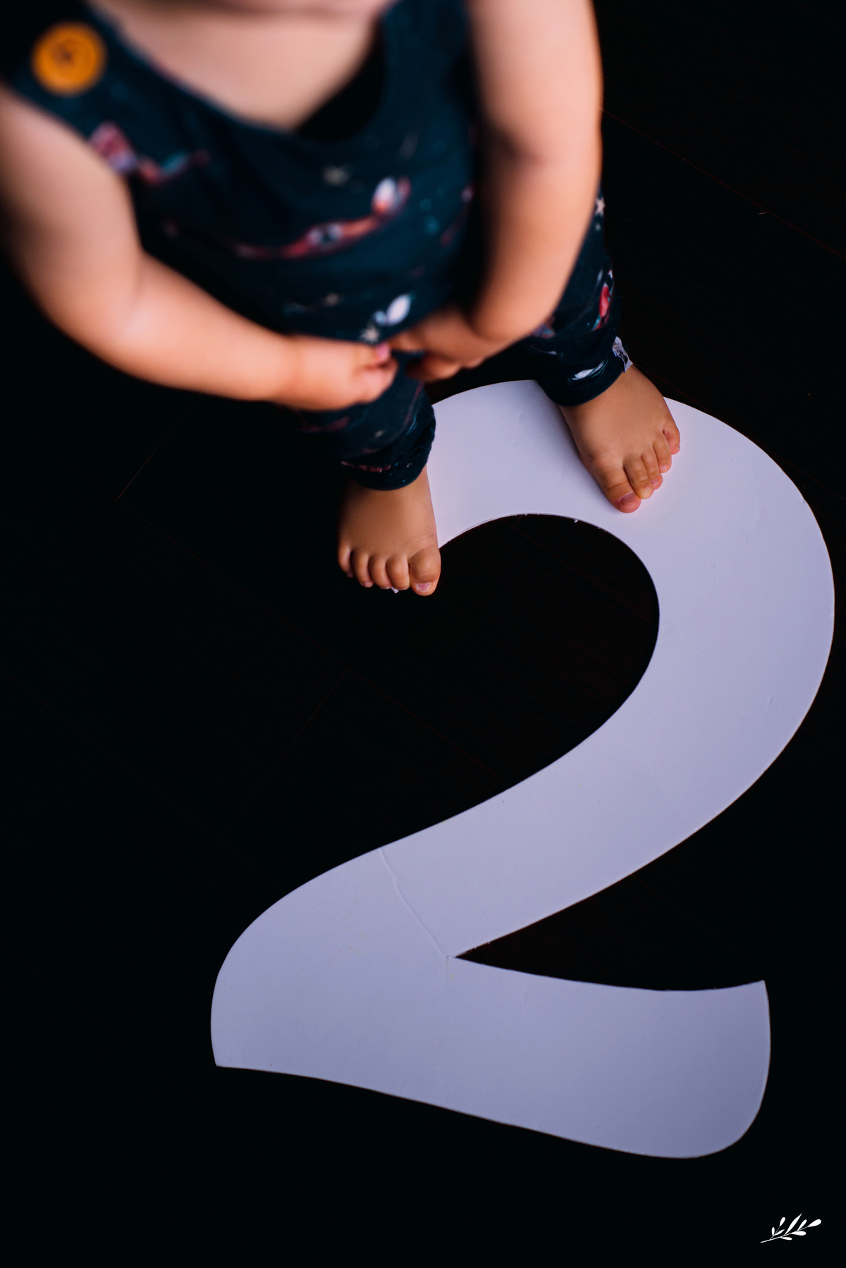 ensaio estúdio, ensaio 2 anos; ensaio em casa; ensaio menino.