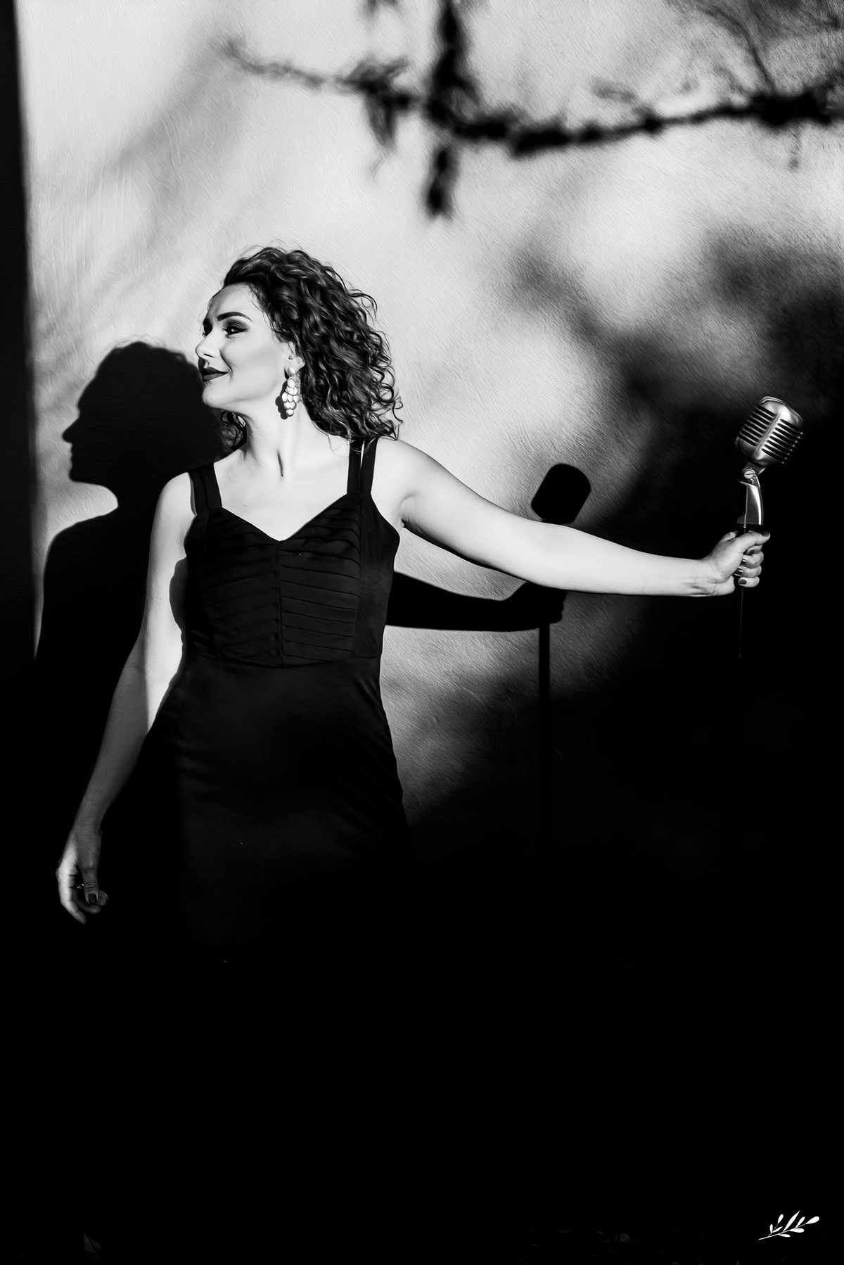 ensaio pessoal; ensaio profissional; ensaio feminino; ensaio cantora; ensaio externo; ensaio serra gaúcha; ensaio gramado rs; Roberta Somavilla.