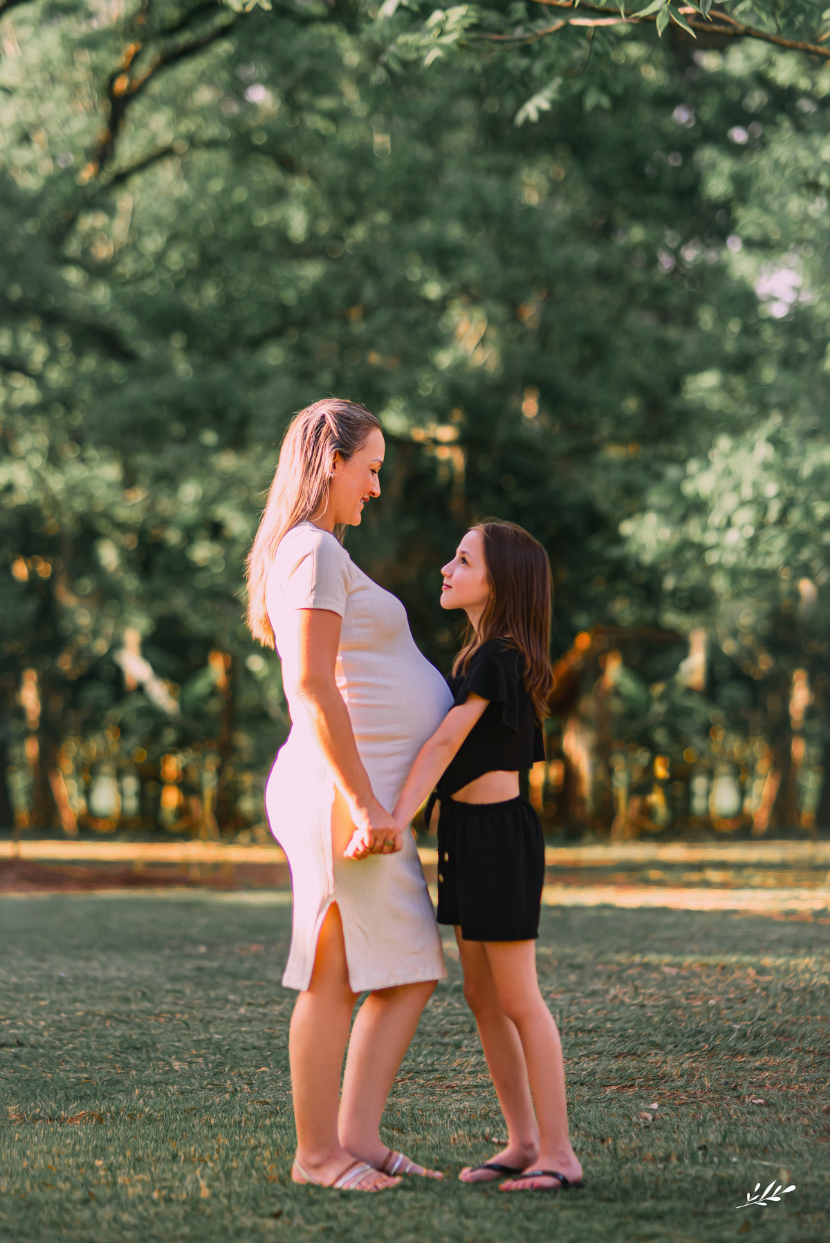 sítio sandea; ensaio gestante externo; ensaio grávida; ensaio família.