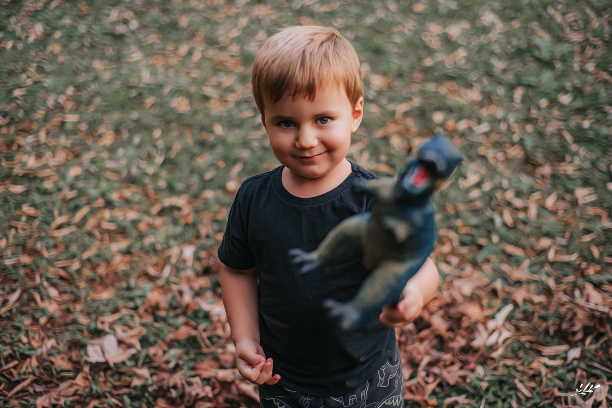 ensaio infanil externo; ensaio menino 3 anos; ensaio família externo; parcão Dois Irmãos RS.