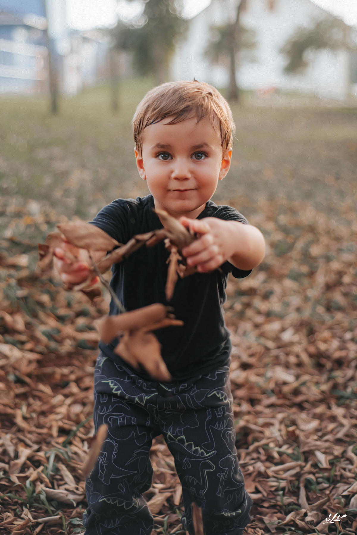 ensaio infanil externo; ensaio menino 3 anos; ensaio família externo; parcão Dois Irmãos RS.