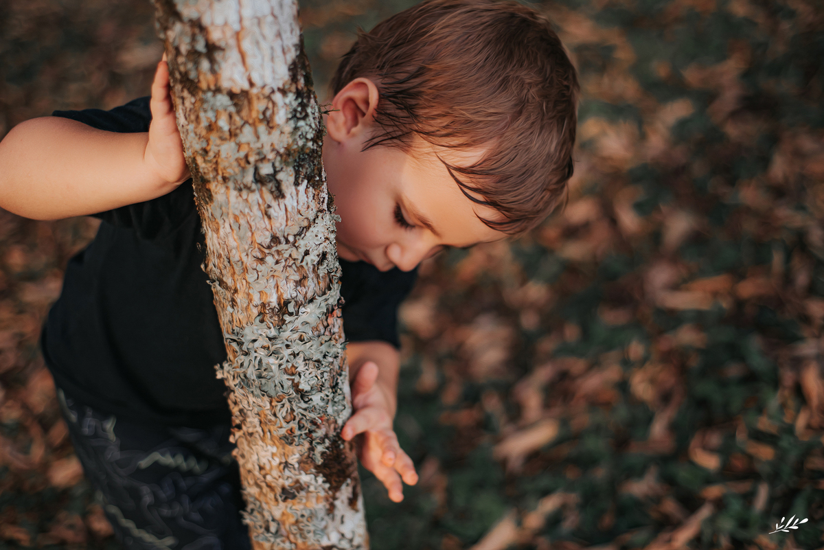 ensaio infanil externo; ensaio menino 3 anos; ensaio família externo; parcão Dois Irmãos RS.