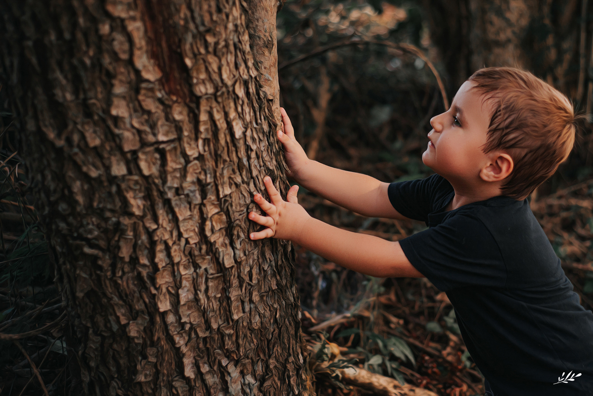 ensaio infanil externo; ensaio menino 3 anos; ensaio família externo; parcão Dois Irmãos RS.