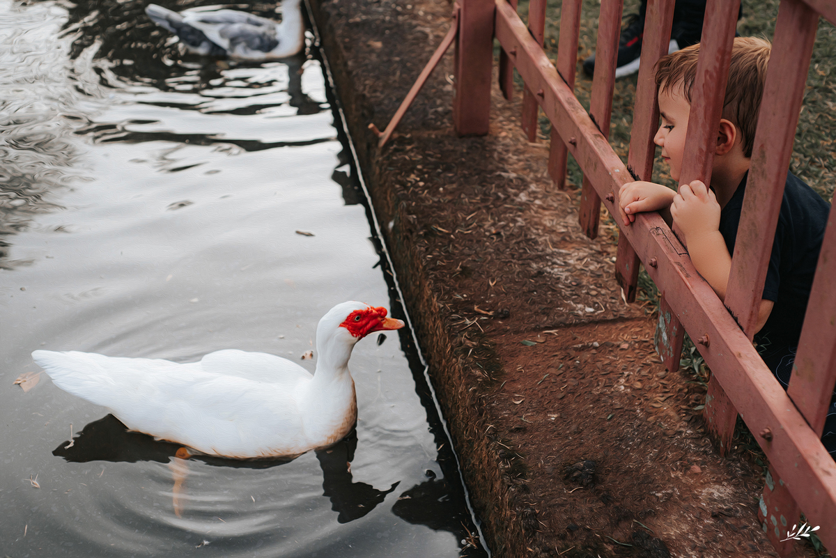 ensaio infanil externo; ensaio menino 3 anos; ensaio família externo; parcão Dois Irmãos RS.