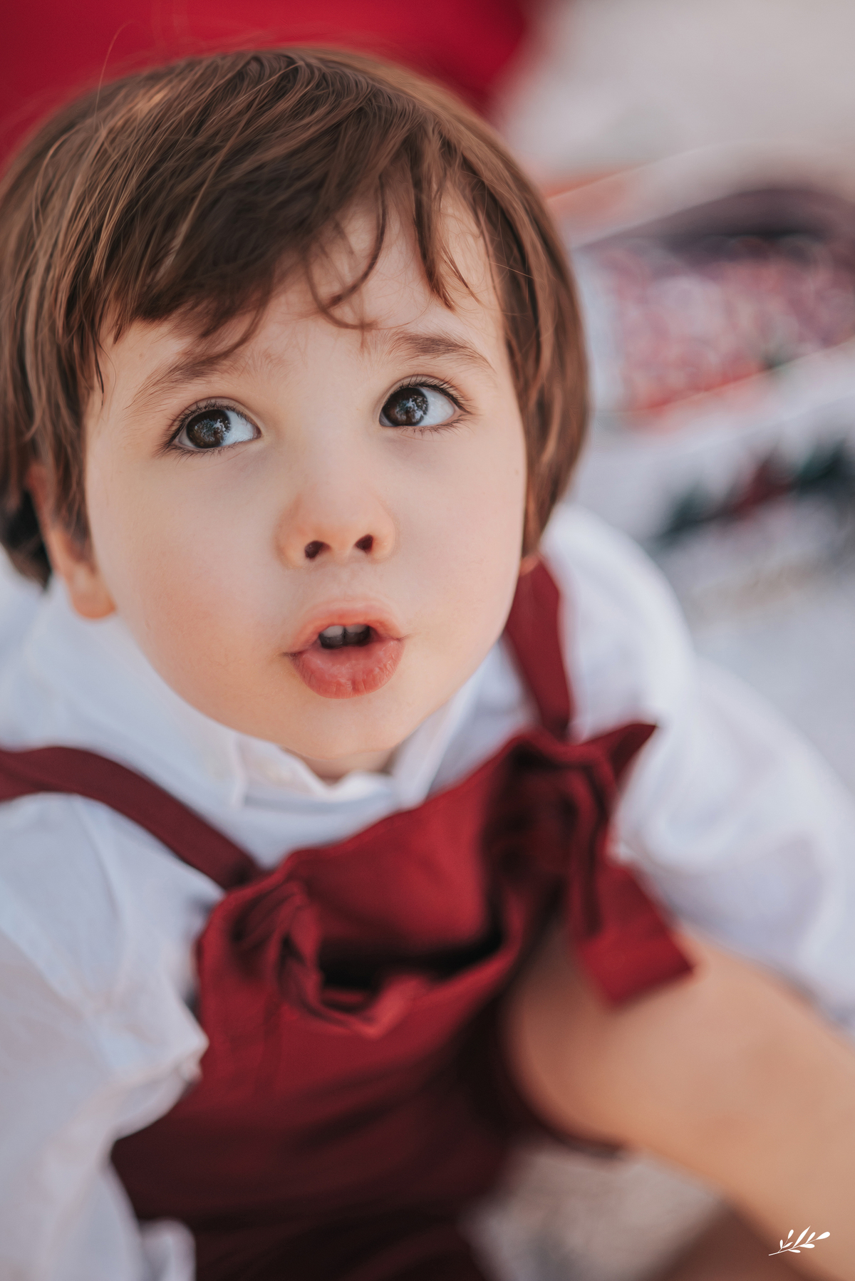 ensaio de natal; ensaio de natal serra gaúcha; ensaio de natal externo.