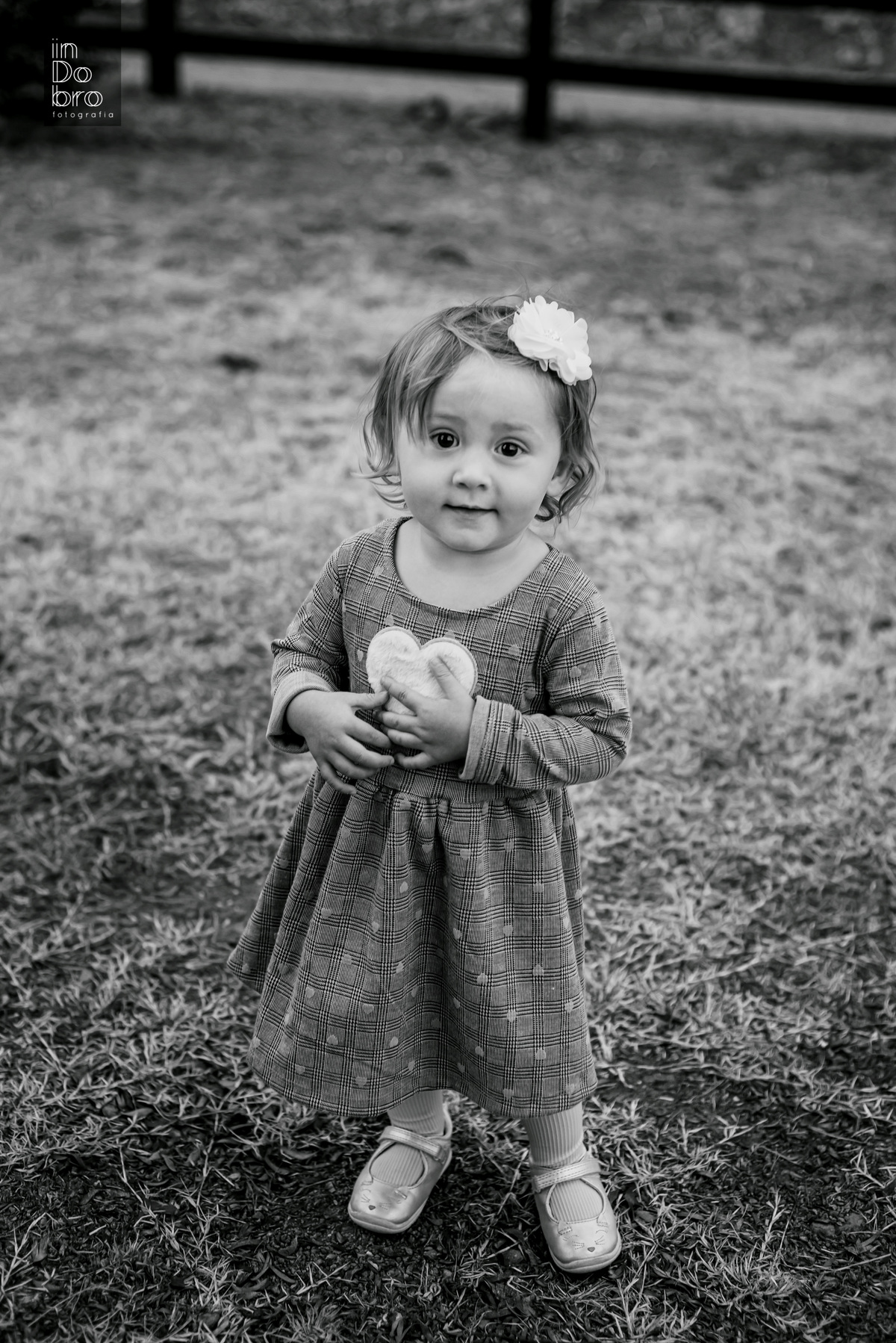 ensaio de família, ensaio interior, ensaio alto rolante, ensaio no sítio, fotos de família, família wasem, família petry.