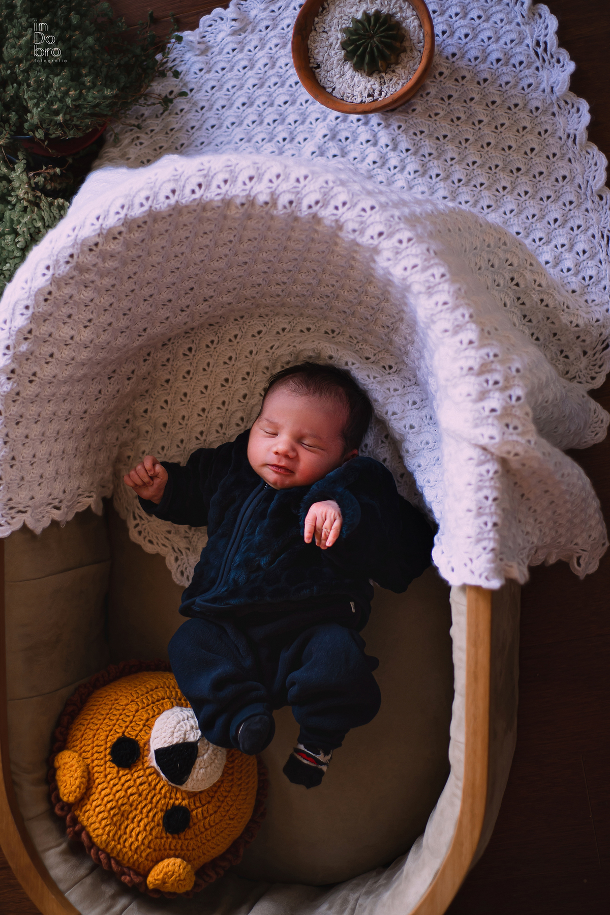 newborn; primeiros dias; ensaio infantil; ensaio família; acompanhamento mensal; dois irmãos; rs; ensaio em casa