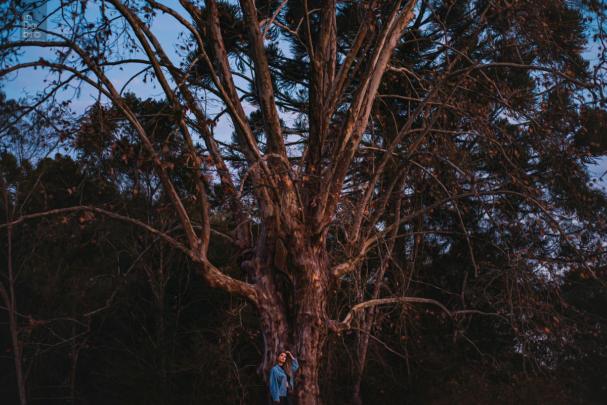 ensaio mulher; ensaio feminino; ensaio pessoal; ensaio natureza; ensaio externo; parque do caracol; cascata do caracol; canela; rs.